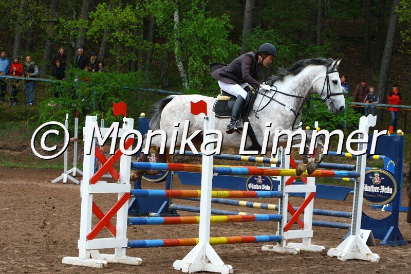 005L5352__Spring M mit Stechen.JPG